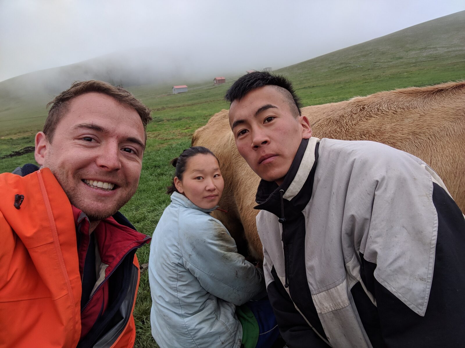 Sam with a young Mongolian couple milking a cow on misty green steppe, gers on the hillside behind